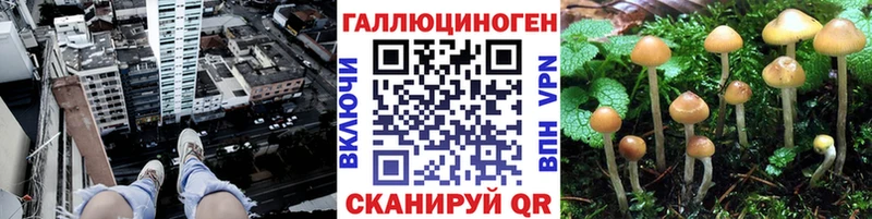 Галлюциногенные грибы мицелий  Болохово 